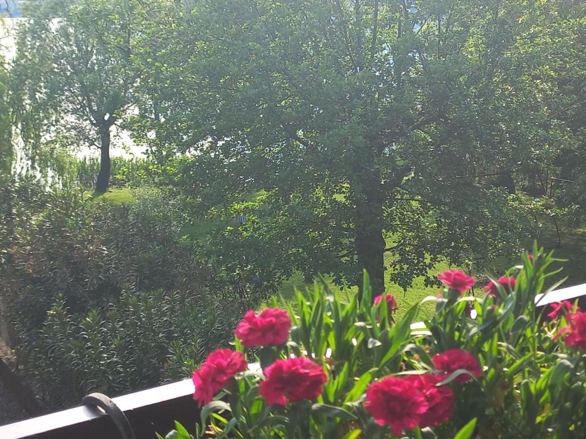 Appartamento Miralago Con Giardino Sul Lago Gavirate Eksteriør bilde