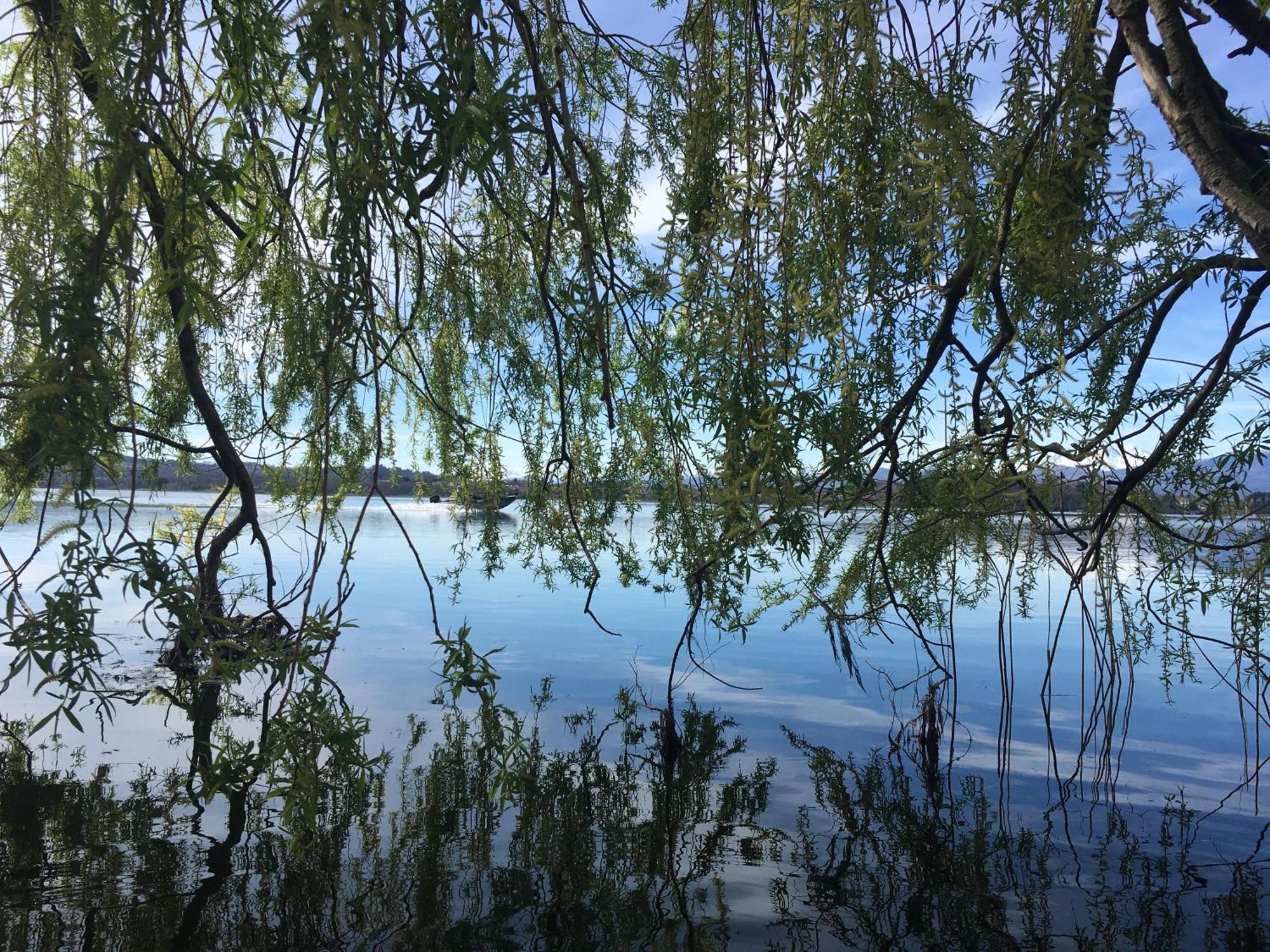 Appartamento Miralago Con Giardino Sul Lago Gavirate Eksteriør bilde